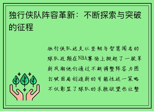 独行侠队阵容革新：不断探索与突破的征程